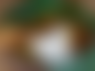 Culinary Tourism in Sri Lanka