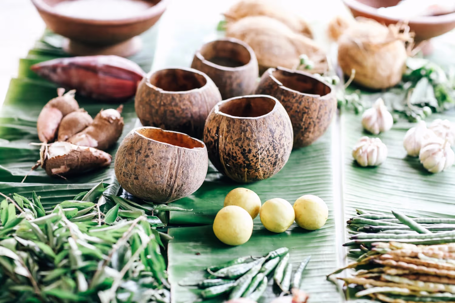 Gal Oya Lodge food items