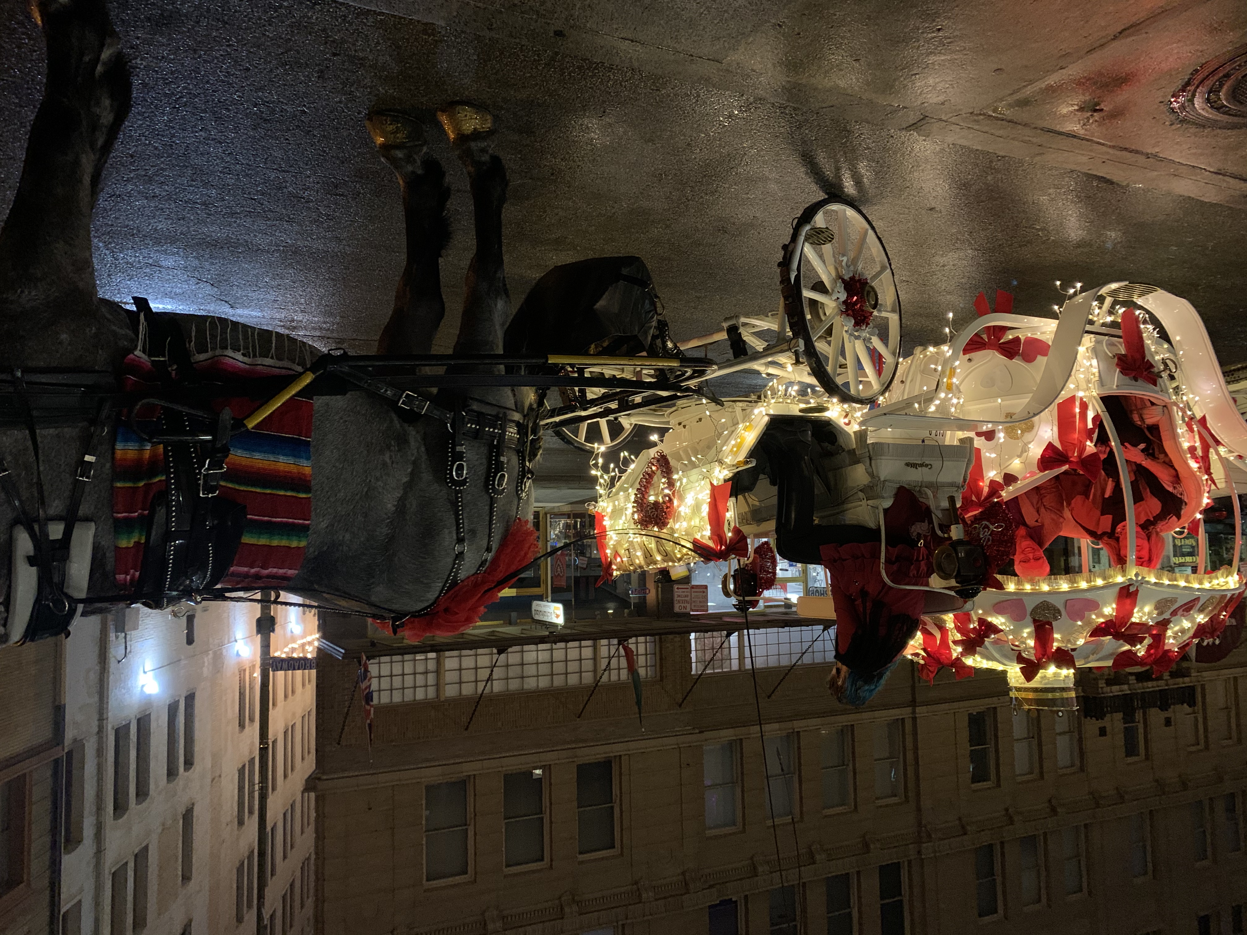 Carriage Ride in San Antonio 2