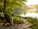 A quiet outdoor setting, such as a single chair near a lake, garden path, shaded porch, or peaceful overlook.