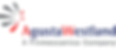 Agustawestland pattern digitizer.jpg