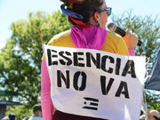 AAA, AEE y Turismo se oponen al Proyecto Esencia en Cabo Rojo durante los trabajos de investigación del Senado de Puerto Rico