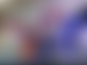 𝐂𝐑𝐄𝐂𝐄 𝐋𝐀 𝐈𝐍𝐂𝐄𝐑𝐓𝐈𝐃𝐔𝐌𝐁𝐑𝐄 𝐄𝐍 𝐄𝐋 𝐏𝐍𝐏 𝐃𝐄 𝐏𝐎𝐍𝐂𝐄: 𝐋𝐀 𝐏𝐀𝐋𝐌𝐀 𝐀𝐔́𝐍 𝐒𝐈𝐍 𝐑𝐔𝐌𝐁𝐎 𝐃𝐄𝐅𝐈𝐍𝐈𝐃𝐎