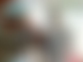 Lo que debes conocer sobre la influenza aviar