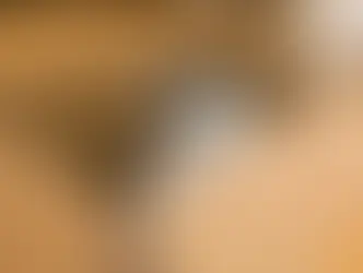 3 curiosidades de los gatos; porqué les encantan las cajas