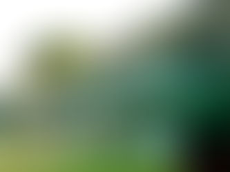 Educación anuncia el servicio de escuela extendida para más de 50 mil estudiantes