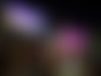 Ponce celebra al Museo de Arte de Ponce