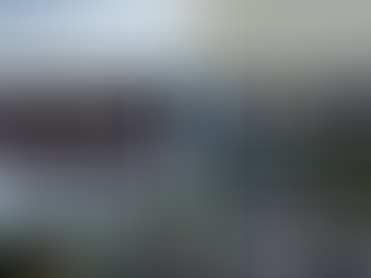 PNP Radica Querella Contra Anuncios Publicitarios Ilegales