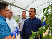 Gobernador anuncia subsidio millonario para continuar fortaleciendo el sector agrícola