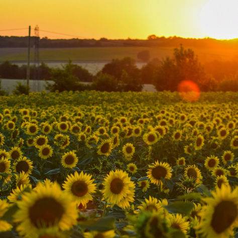 Quest News Issue 35 - 16th May 2022