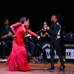 Flickr - FDS_2751