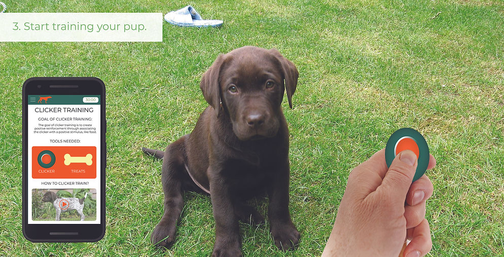 Up Pup15.jpg