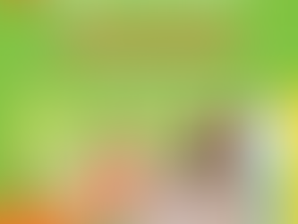 SCCF closes out 2025 awarding $22k+ in grants in November and December