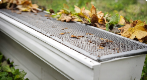 gutterguards.png