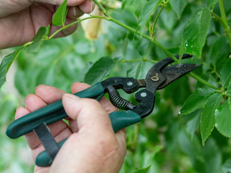 Heiligt euch! (Josua 3,5)