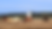 Horse-semen-page-bg-01 copy.png