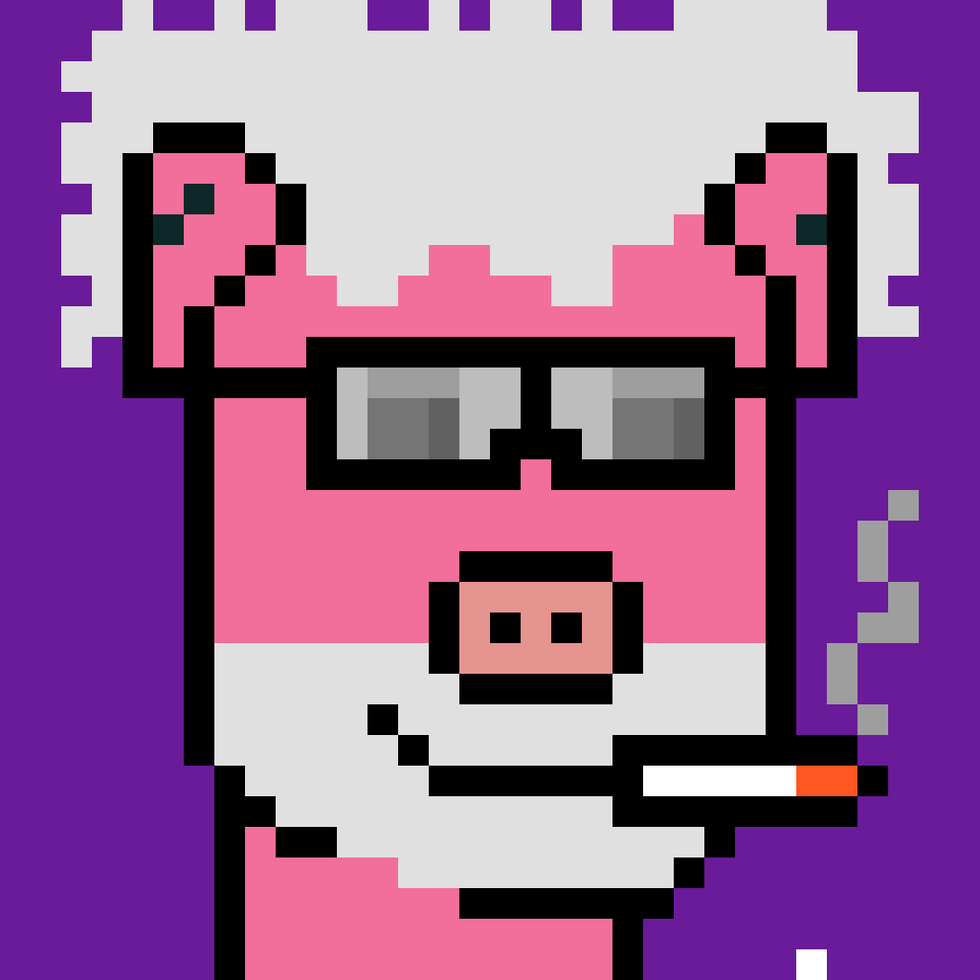 pig41