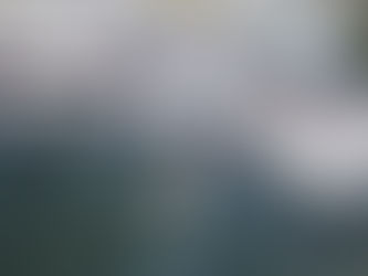 Welcome to Pier 98 Fishing Charters