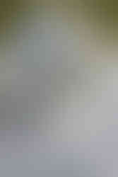 Tishcdeko Hellblau und Weiß