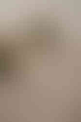 Moderne Hochzeitsfloristik Oldenburg