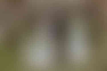 Freie Trauung Wilhelmshaven