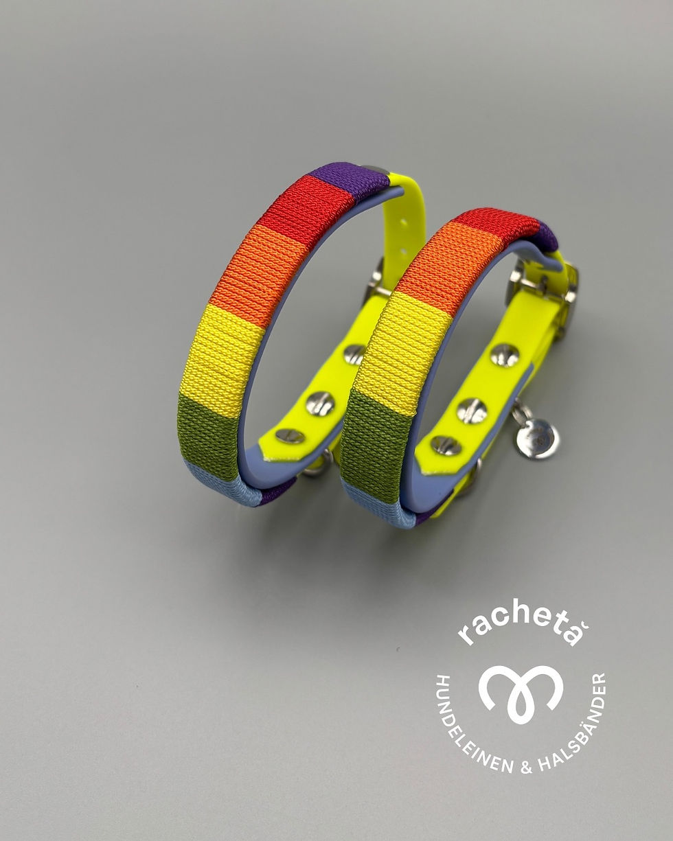 Miniaturbild: Pride | Biothanehalsband mit Regenbogen-Takelung