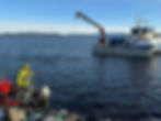 DNV validates emissions reduction
