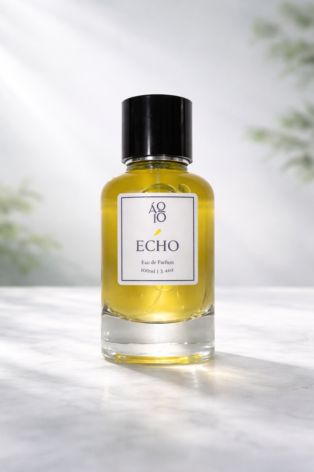 Echo