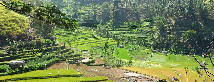 indonesia-2647607_1920.jpg