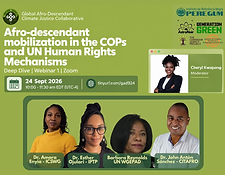 Afro-descendant mobilization in the COPs and UN Human Rights Mechanisms (1).png