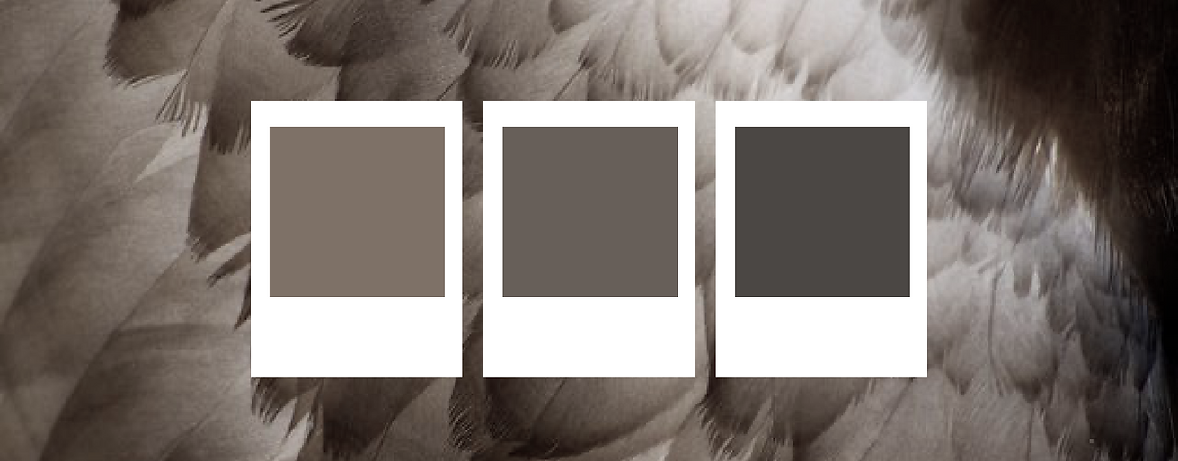Group 116.png