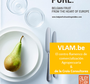 Vlam web.PNG