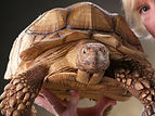 IMG_2067_edited.jpg