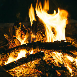 AdobeStock_248573228_edited.jpg