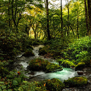 AdobeStock_292659707_edited.jpg