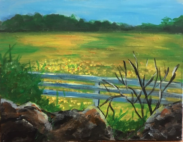 Wildflower field
