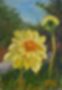 Yellow Flower