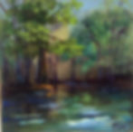 Dogwood Springs