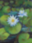 Lilly Pads