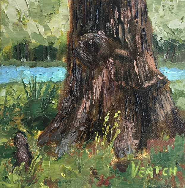 Cedar Stump