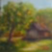 Orange Tree on the Farm