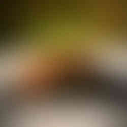 a vegan kebab on a black state board