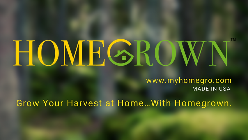 Organic Traveler Leaves and Photo Facebook Cover (1).png