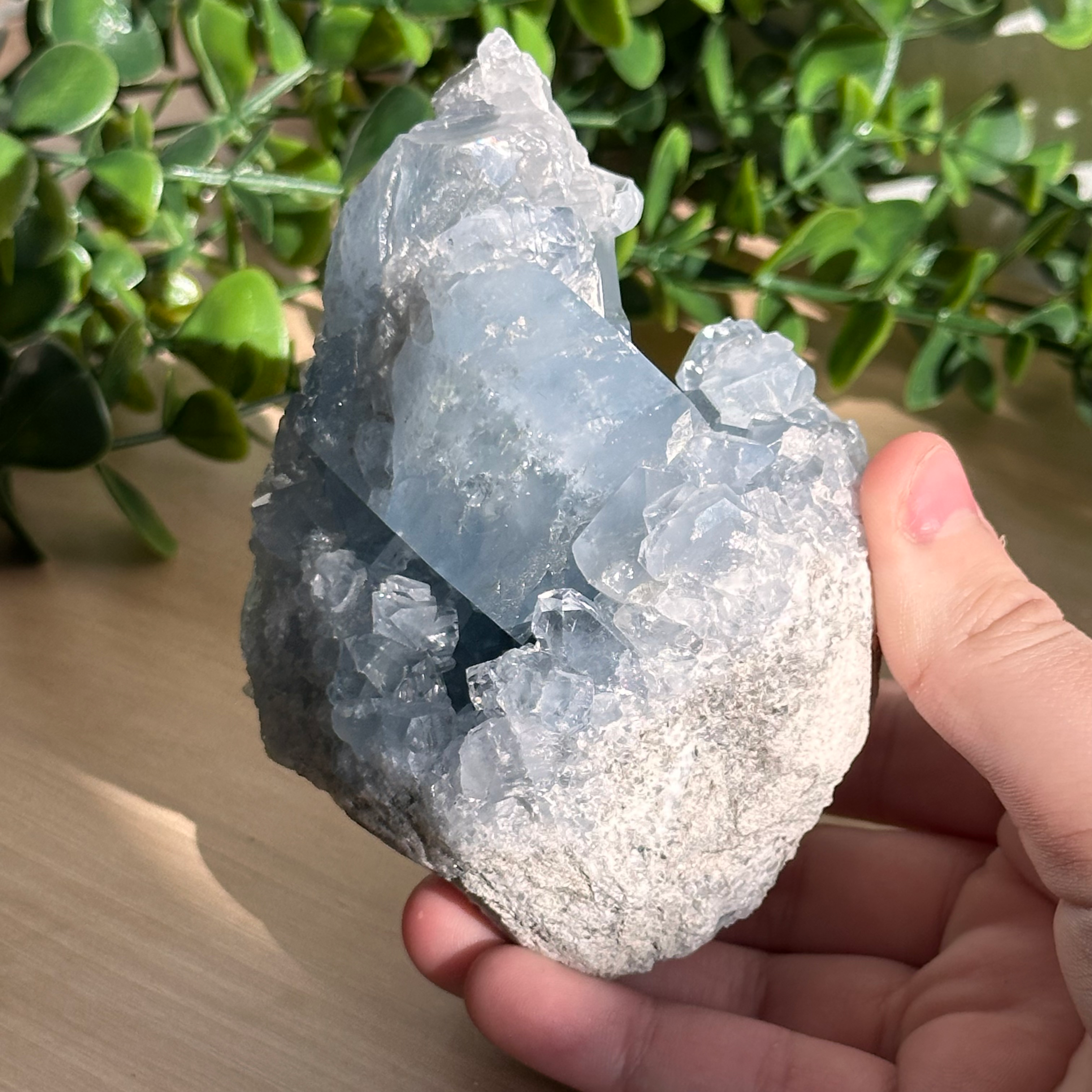 BLUE CELESTITE L RAW CLUSTER💙