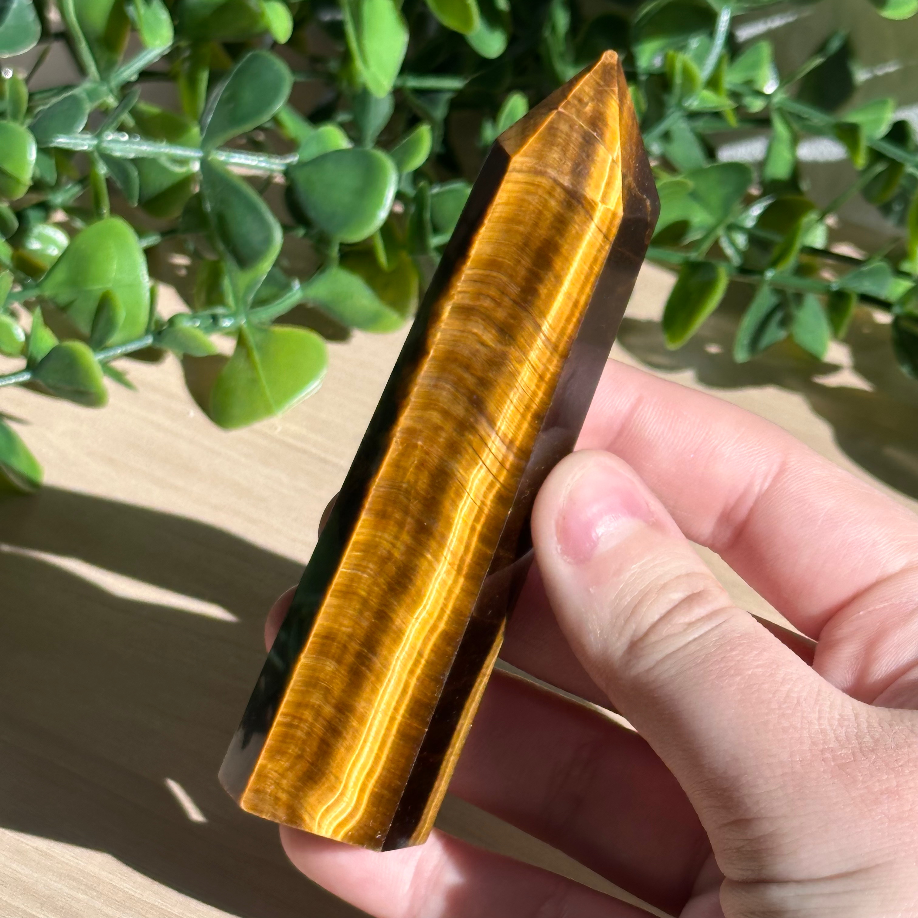 TIGERS EYE TOWER 🐅