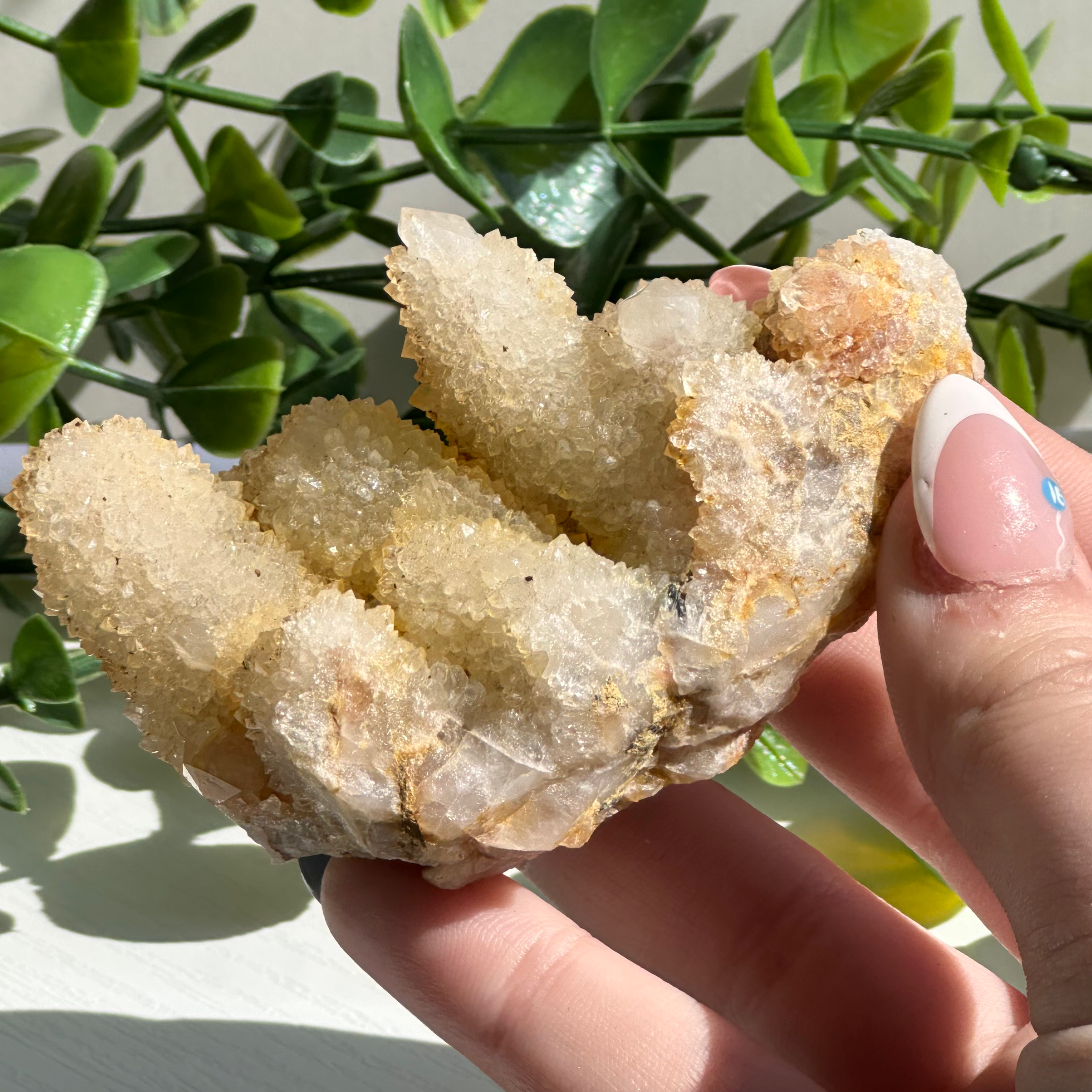 CACTUS SPIRIT QUARTZ