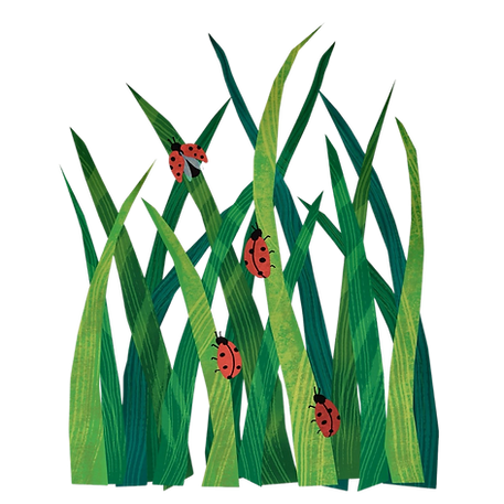 Teddy Bear Website Images-3.png