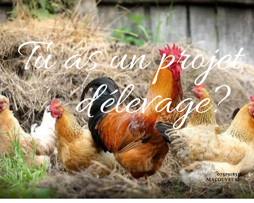 MaCouveuse