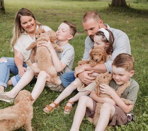 family raised goldendoodles
