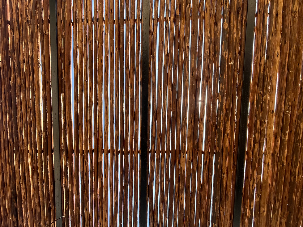Eucalyptus Shading.png